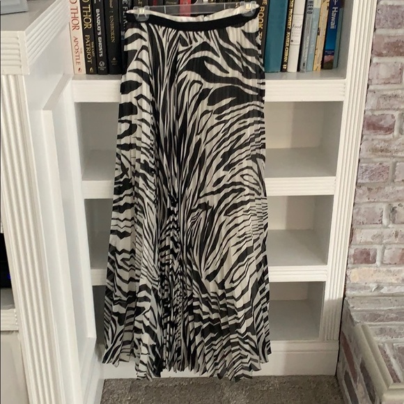 Chiffon Pleated Maxi Skirt